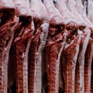 『ロードゲーム』© 1981 STUDIOCANAL - Quest Films Pty Ltd. All Rights Reserved.