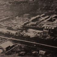 医の倫理と戦争 15枚目の写真・画像