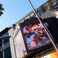 Los Angeles Premiere Photo by JC Olivera/Variety via Getty Images)