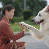 『ランポ～旅するわんこ～』©Canal+ Polska