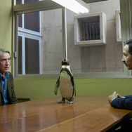 『ペンギン・レッスン』