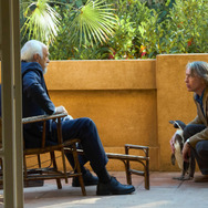 『ペンギン・レッスン』