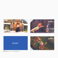 4種の柄からランダムで1枚付属するスペシャルセリート