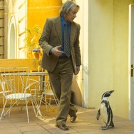ペンギン・レッスン 3枚目の写真・画像