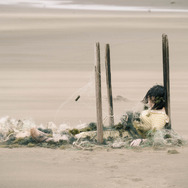 『ザ・カース』