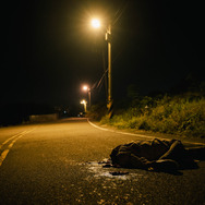 『ザ・カース』