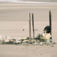 ザ・カース 11枚目の写真・画像