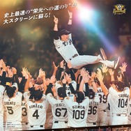 『阪神タイガース THE OFFICIAL MOVIE 2025 ―栄光の虎道―』©︎2025「阪神タイガース THE OFFICIAL MOVIE 2025」製作委員会