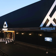 ゴリラホール 2枚目の写真・画像