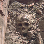 ZEDER／死霊の復活祭 6枚目の写真・画像