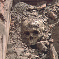 ZEDER／死霊の復活祭 6枚目の写真・画像