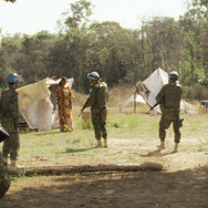 火の華 19枚目の写真・画像