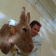 愛の喜びは 10枚目の写真・画像