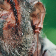 マルドロール／腐敗 15枚目の写真・画像