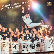 阪神タイガース THE OFFICIAL MOVIE 2025 ―栄光の虎道― 1枚目の写真・画像