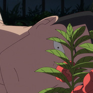 「オッドタクシー」のクリエイターコンビが贈る最新作、映画「ホウセンカ」は、映像と音で織りなす美しき“愛の逆転物語”【木下麦監督インタビュー】