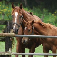 「ザ・ロイヤルファミリー」3話©TBSスパークル／TBS