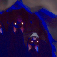 ヤマトタケル -白鳥伝説- 12枚目の写真・画像