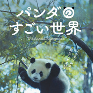 パンダのすごい世界 2枚目の写真・画像