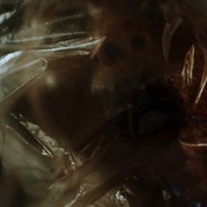 『ネバーランド・ナイトメア』© 2025 ITN Distribution, Inc. All Rights Reserved.