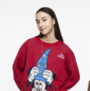 FANTASIA COLLECTION「Disney SERIES CREATED by MUS」