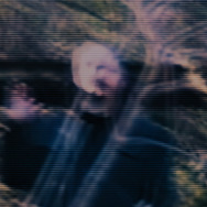 シェルビー・オークス 14枚目の写真・画像