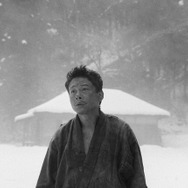 黒の牛 5枚目の写真・画像