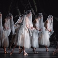 英国ロイヤル・バレエ＆オペラ in シネマ 2025/26 ロイヤル・バレエ「ジゼル」 2枚目の写真・画像