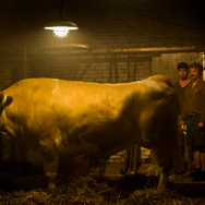 メン＆チキン 8枚目の写真・画像