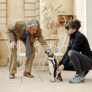 『ペンギン・レッスン』