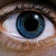 『レクイエム・フォー・ドリーム』© 2000 Requiem For A Dream, LLC. All Rights Reserved.