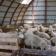 北の食景 14枚目の写真・画像