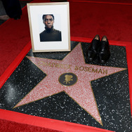 「ハリウッド・ウォーク・オブ・フェーム」 Photo by Matt Winkelmeyer/Getty Images