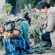 『楓』Ⓒ2025 映画『楓』製作委員会