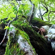 たしかにあった幻 5枚目の写真・画像