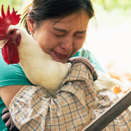 サリー 13枚目の写真・画像