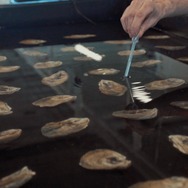 水の中で息をする ―彼女でも彼でもなく― 9枚目の写真・画像