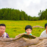 『パンダプラン』