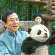 パンダプラン 5枚目の写真・画像