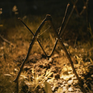 シェルビー・オークス 26枚目の写真・画像