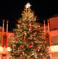 上戸彩がサプライズでパレードルートに登場！スペシャルグリーティング、『ズートピア2』公開初日に開催