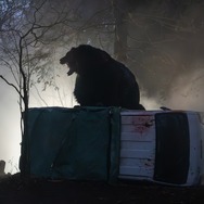 『ヒグマ!!』©2025映画「ヒグマ!!」製作委員会