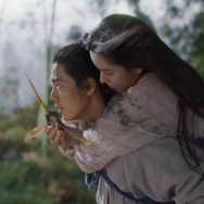 射鵰英雄伝 11枚目の写真・画像