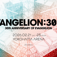 「EVANGELION:30+；」©カラー