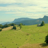 サムシング・エクストラ！ やさしい泥棒とゆかいな逃避行 27枚目の写真・画像