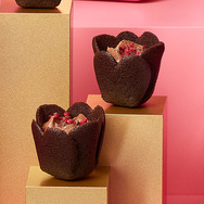 チューリップローズ ショコラ・フルコース