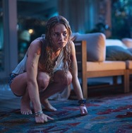 おさるのベン 2枚目の写真・画像