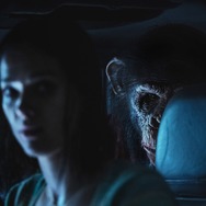 おさるのベン 6枚目の写真・画像