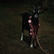 FRÉWAKA／フレワカ 13枚目の写真・画像