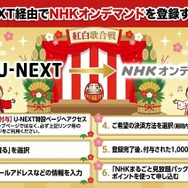2025年紅白歌合戦の無料見逃し配信はどこで見れる？配信サービスを徹底調査！
